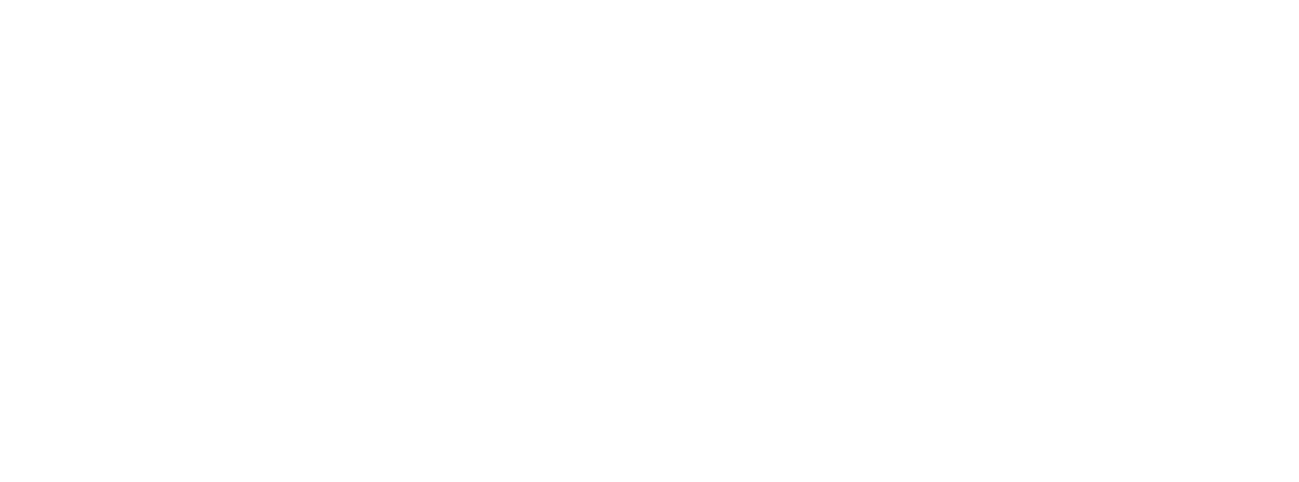 Capitol Mortgage Group Logo White