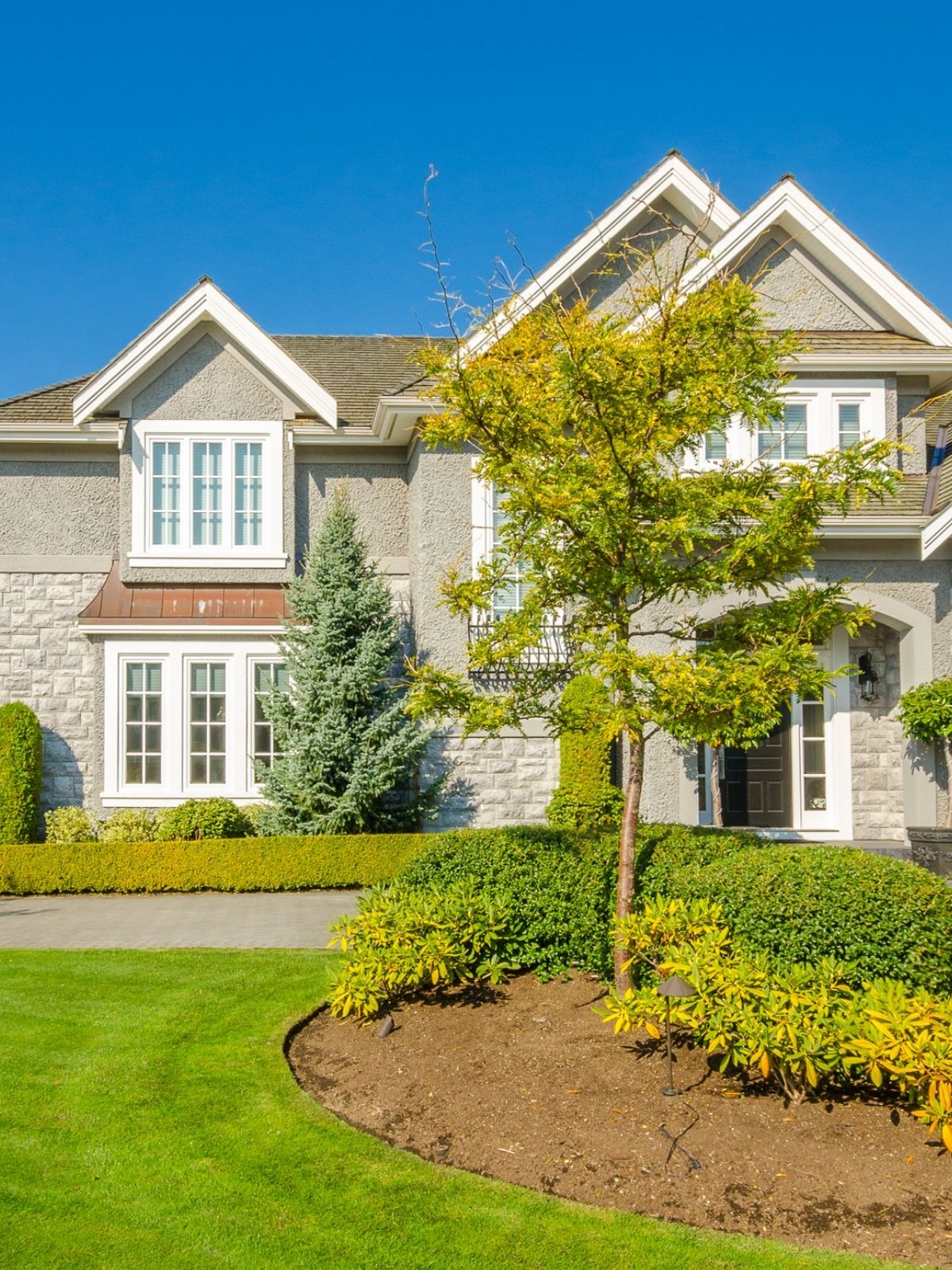 Front of house with tree